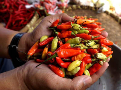 Lonjakan Harga Cabai dan Pangan Jelang Idul Fitri, Masyarakat Harus Waspada