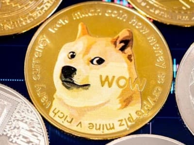 House of Doge Luncurkan Cadangan Dogecoin Rp 30.09 miliar ($1,83 Juta)  Untuk Transaksi Sehari-hari