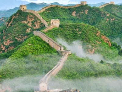 Penghitungan Pohon di China Menggunakan Teknologi Laser Ungkap 142,6 Miliar Pohon