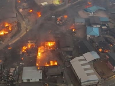 Kebakaran Hutan Meluas di Tenggara Korea Selatan, Ribuan Warga Dievakuasi