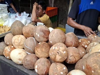 Harga Kelapa Parut Melambung Karena Permintaan Ekspor Menjelang Lebaran 2025