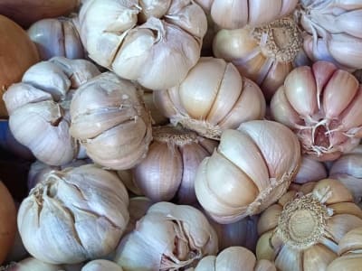 Harga Bawang Putih Melonjak, Ombudsman Soroti Tata Kelola Impor yang Amburadul