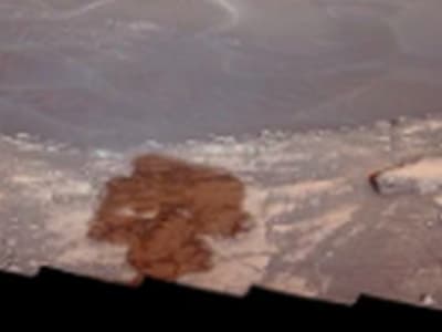Ilmuwan Sebut Eksperimen NASA Viking 1 Mungkin Bunuh Mikroba Mars