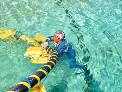 China Kembangkan Alat Pemotong Kabel Bawah Laut Canggih untuk Pengaruh Global