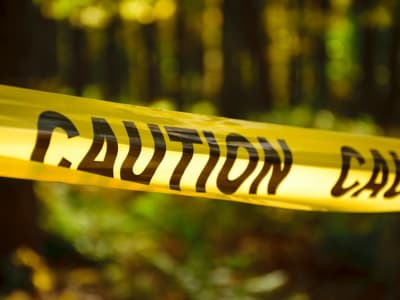 Tarif Trump Memperparah Masalah Apple dan Wayfair, Investor Harus Waspada