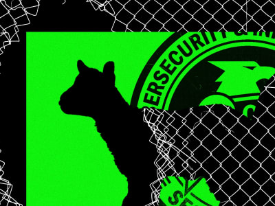 Krisis di CISA: Ancaman Serius bagi Keamanan Siber Nasional Amerika Serikat