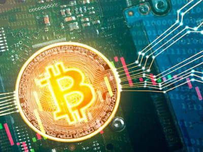 Trump Bentuk Cadangan Bitcoin AS, Apakah Ini Peluang Investasi di Tengah Ketegangan Perdagangan?