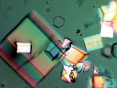 AI Membantu Memecahkan Struktur Atom Nanokristal yang Sulit Diungkap