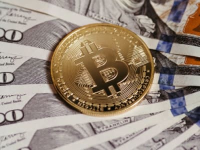 Perusahaan dan Pemerintah Dorong Bitcoin Jadi Mata Uang Cadangan Masa Depan