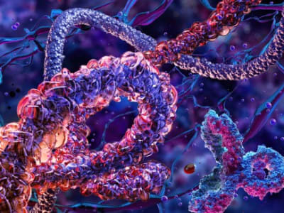 Teknik Baru Edit Protein dengan Inteins Mempercepat Penelitian Sel Hidup