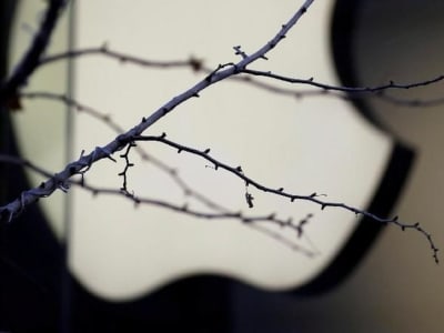 Penjualan iPhone Turun Karena Tarif AS dan Keterlambatan AI, Apple Cari Solusi