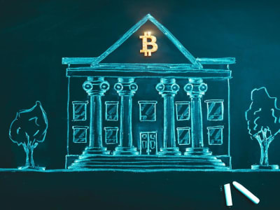 Perusahaan yang Hanya Berinvestasi di Bitcoin: Untung dan Risiko untuk Investor