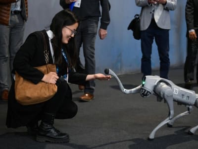 Unitree Robotics Tutup Layanan Rentan yang Membahayakan Robot Anjing Go1