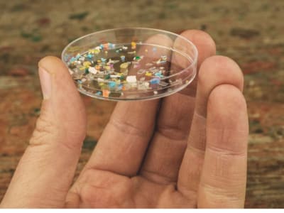 Nanoplastik dari Sampah Plastik Serap Logam Berbahaya Bahayakan Kesehatan