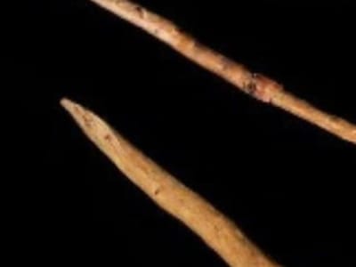 Penemuan Ada Tombak Neanderthal Berusia 200 Ribu Tahun di Jerman