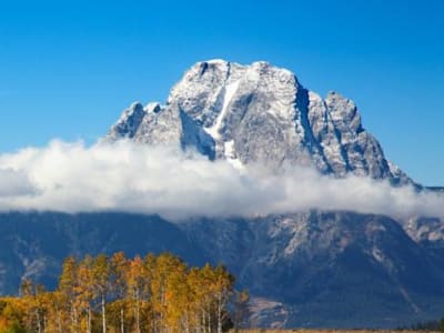 Wyoming Siapkan Stablecoin Publik Pertama dengan Pengawasan Keamanan Canggih