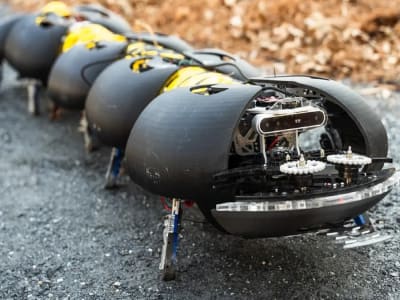 Robot Kelabang Pintar: Solusi Murah untuk Automasi Pertanian Sulit