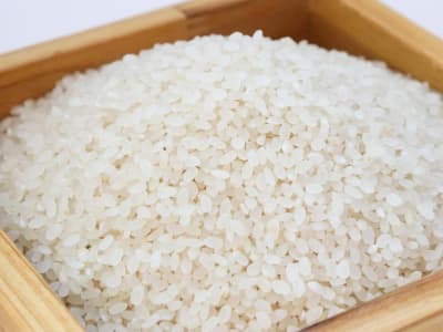 Pemanasan Global Dorong Meningkatnya Risiko Penyakit dari Makanan Sehari-hari