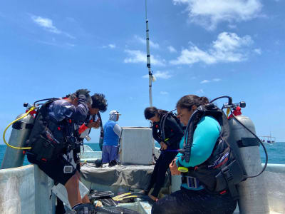 Komunitas Celestún Selamatkan Laut dengan Zona Perlindungan Perikanan