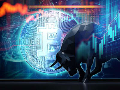 Bitcoin Jadi Investasi Kripto Terbaik di Tengah Kebijakan Pro-Trump 2025