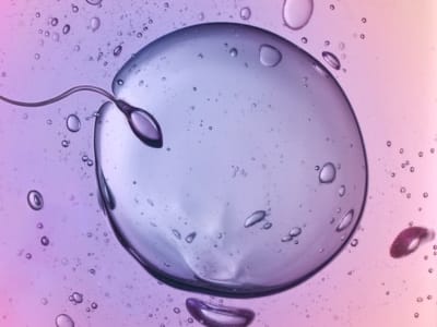 Donor Sperma dengan Mutasi Kanker Tersebar Luas, Butuh Regulasi Internasional