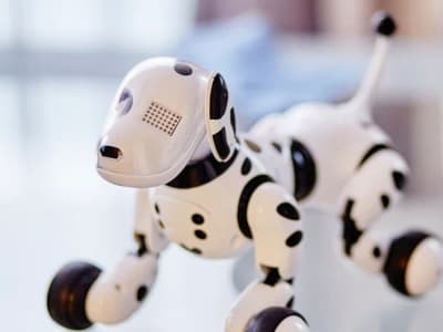 Robot Terapi Baru, Seperti Kuda Terapi, Bisa Merespon Emosi Kita