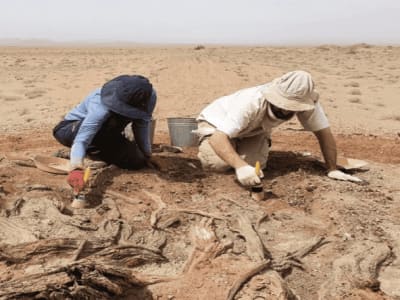 Penemuan Baru Tentang Gobi Wall: Lebih dari Sekadar Tembok Pertahanan Abad Pertengahan