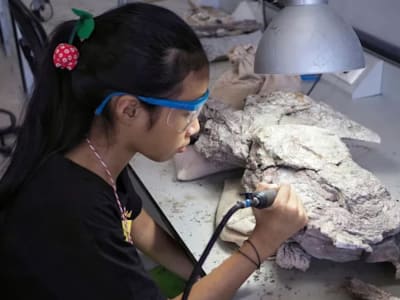 Mengungkap Misteri Kepunahan Megafauna Australia Lewat Kolagen Kuno