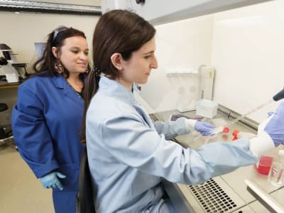 Terobosan Obat Blokir Enzim HDAC6 untuk Sembuhkan Fibrosis Hati