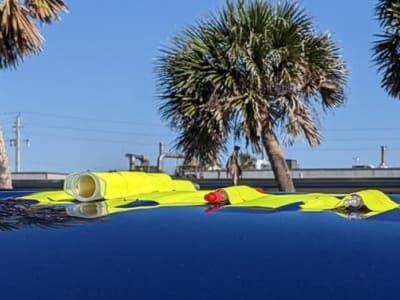 Membaca DNA di Udara: Inovasi yang Mengungkap Rahasia Lingkungan Sekitar