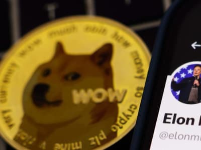 Harga Dogecoin Jatuh Setelah Perselisihan Terbuka Elon Musk dan Donald Trump