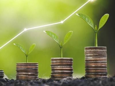 Investasi Cerdas: Kenali Potensi Pertumbuhan Saham Datadog dan Microsoft