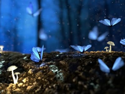 Fosil Kotoran di Argentina Ungkap Asal-Usul Awal Kupu-kupu dan Ngengat