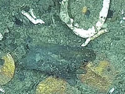 Mengungkap Misteri Kapal San José: Harta Karun Legendaris dari Laut Cartagena