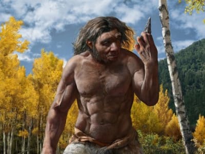 Penemuan Kranium 'Dragon Man' Ungkap Wajah Denisovan yang Misterius