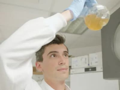 Mengubah Sampah Plastik Jadi Obat Paracetamol Ramah Lingkungan Dengan Bakteri