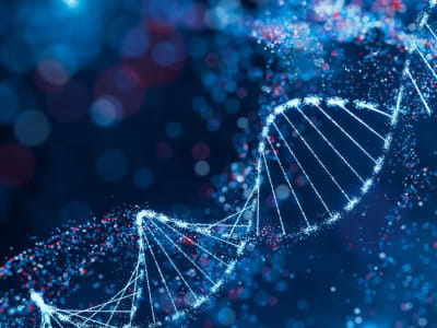 Google Launches AlphaGenome: AI Revolutionizes DNA Mutation Analysis