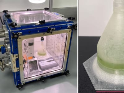 Inovasi Habitat Mars: Alga dalam Bioplastik untuk Tempat Tinggal Mandiri