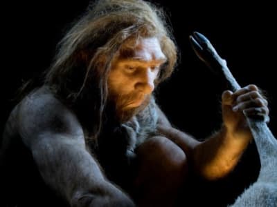 Neanderthal Sudah Bisa Mengolah Lemak Tulang Jauh Sebelum Manusia Modern