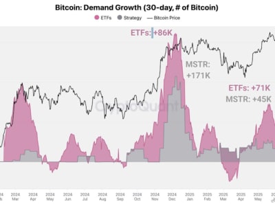 Kenapa Harga Bitcoin Belum Melejit Meski Banyak Pembelian Besar?