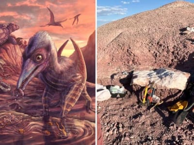 Penemuan Pterosaurus Tertua di Amerika dan Ekosistem Langka Trias di Arizona