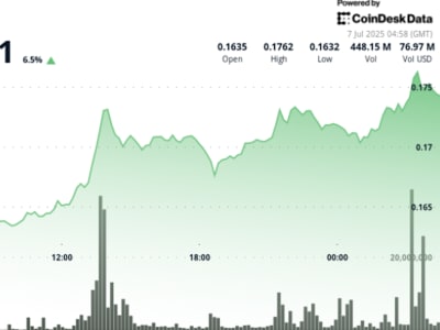Elon Musk Luncurkan America Party, Harga Dogecoin Naik 5% Didukung Whale Wallet