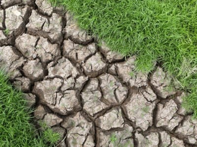 Perubahan Iklim dan Ancaman Kekeringan pada Produksi Semikonduktor Global