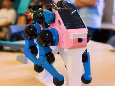 Mahasiswa Stanford Bangun Robot Anjing Pintar untuk Masa Depan AI