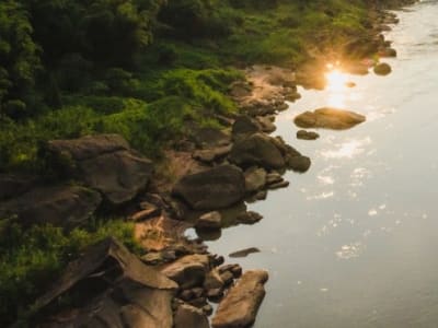 Tiongkok Bongkar Ratusan Bendungan untuk Selamatkan Ikan Langka Sungai Yangtze
