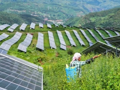 China Pimpin Investasi Energi Bersih Dunia untuk Capai Netral Karbon 2060