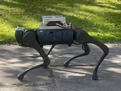 Robot Berkaki Empat Beradaptasi Sendiri dengan Medan Baru seperti Hewan