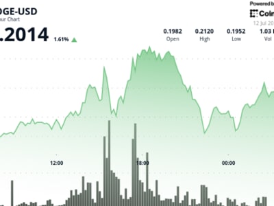 Dogecoin Naik Tajam Didukung Rekor Bitcoin dan Aliran Dana Institusional