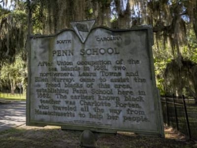 Keunikan Pulau Saint Helena: Sejarah Napoleon dan Surga Konservasi Laut