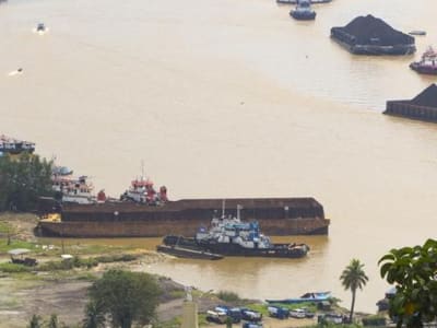 Pesut Mahakam Terancam Punah Karena Aktivitas Manusia di Sungai Mahakam